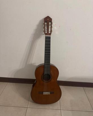 Chitarra acustica