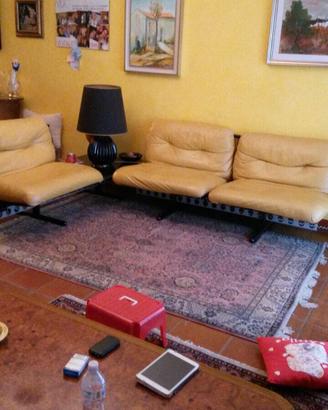 Composizione divani in pelle gialla 