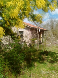 Terreno a Riparelle San Giovanni delle contee Gros