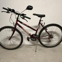 Bici da 26