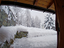 Immagine 9