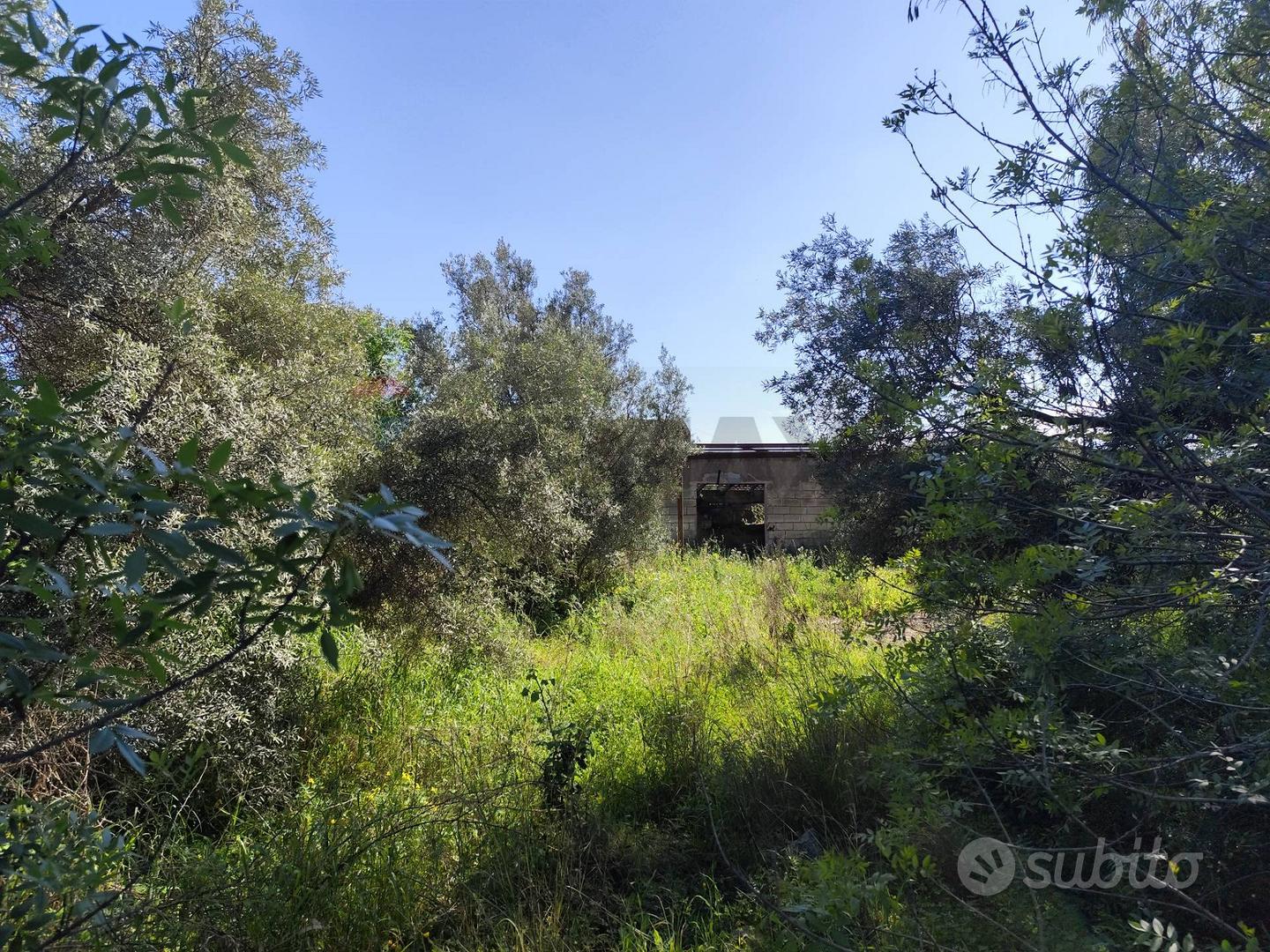 Terreno - Siracusa - Vista 3
