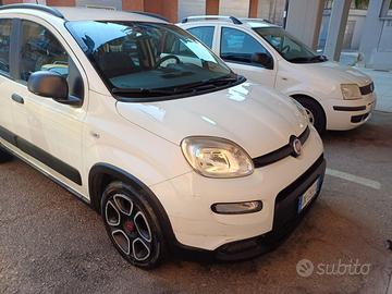 Panda ibrida benzina