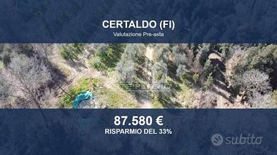 Immobile in asta di 60785 m² a Certaldo