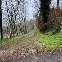 Terreno e capacità edificatoria