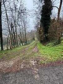 Terreno e capacità edificatoria