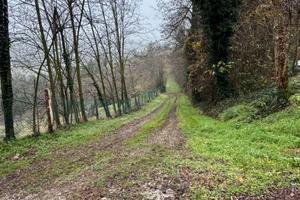Terreno e capacità edificatoria