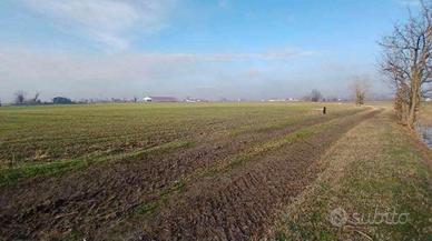 RGE 381/2023 Tribunale Verona - Lotto 11)