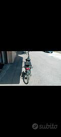 bicicletta elettrica