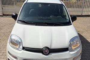 Fiat Panda bianca