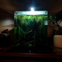 Acquario 30 lt