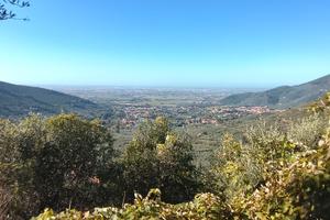 Annesso agricolo con terreno 2500 mq
