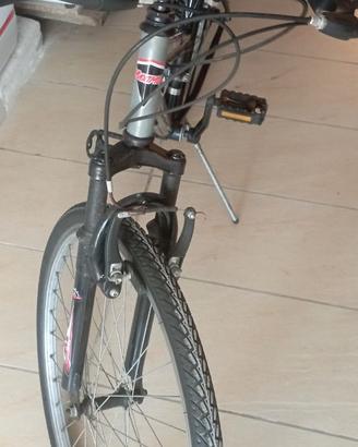 Bicicletta