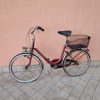 Bicicletta da 24 cinzia pieghevole con cesto