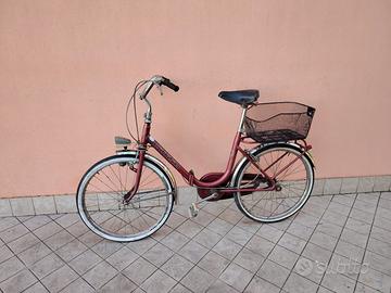 Bicicletta da 24 cinzia pieghevole con cesto