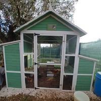 Kit completo per Pollaio Modello Livorno XXXL Plus