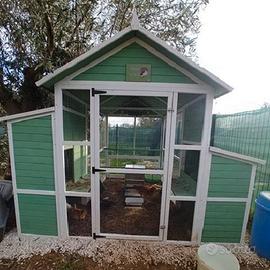 Kit completo per Pollaio Modello Livorno XXXL Plus