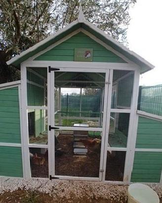 Kit completo per Pollaio Modello Livorno XXXL Plus