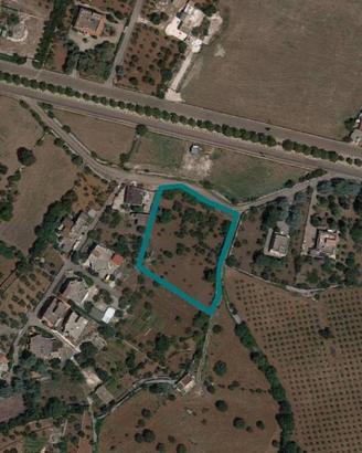 Immobile in asta di 3514 m² a Putignano