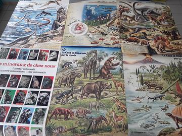 6 poster didattica vintage anni '70 