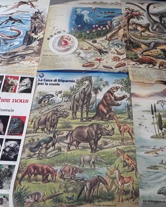 6 poster didattica vintage anni '70 