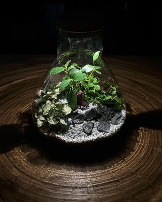 Terrarium led