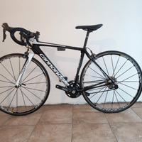 Cannondale Synapse