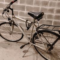 Bici da uomo