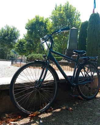 bici elettrica 