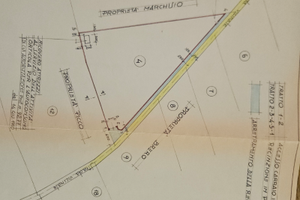 Terreno agricolo (Orto)