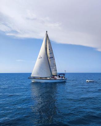 Imbarcazione 42 piedi