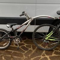 Cammellino mezza bici
