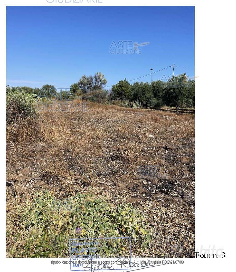 Terreno Agricolo Triggiano [A4294264] - Vista 5