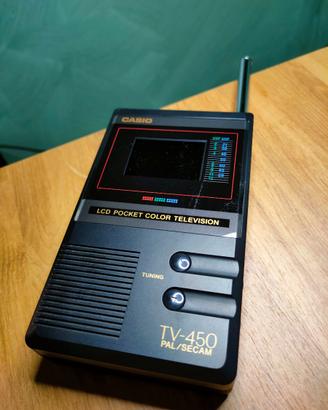 LCD pocket color television