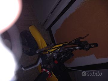 Polini Altro modello