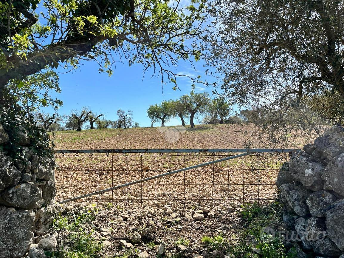 RUSTICO A SANTERAMO IN COLLE - Vista 4