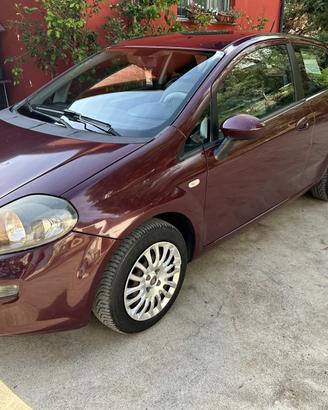 Punto evo