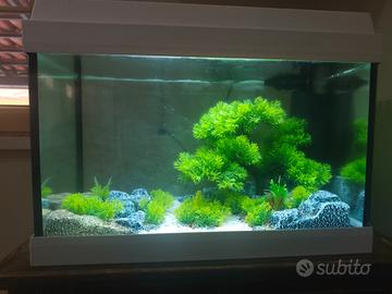 ACQUARIO COMPLETO 30 LT