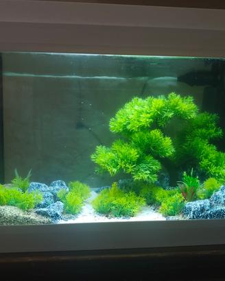 ACQUARIO COMPLETO 30 LT