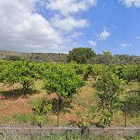 Rif.RI508| area edificabile sant'ilario dello ion