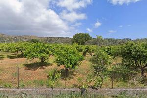 Rif.RI508| area edificabile sant'ilario dello ion