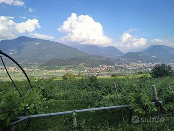 Terreno agricolo