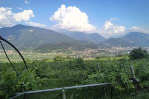 Terreno agricolo
