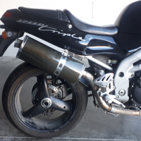Scarico passaggio altissimo Speed Triple 955 97-01