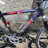 Bicicletta Torpado Mountain Bike