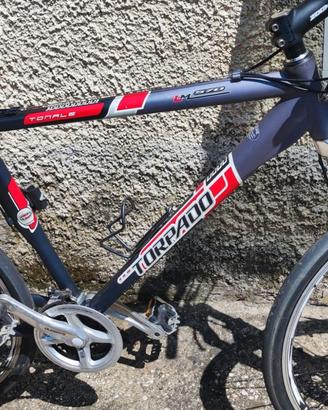 Bicicletta Torpado Mountain Bike