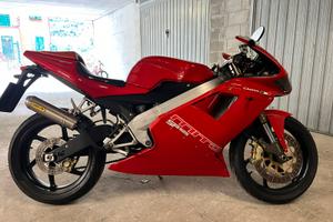 Cagiva mito sp525/ sp 525