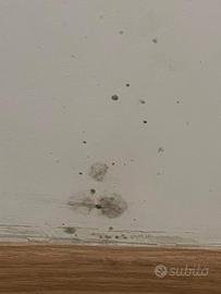 Appartamento quanto prima