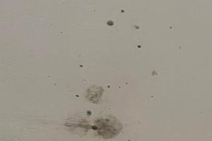 Appartamento quanto prima