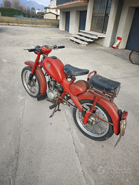 Moton 51cc